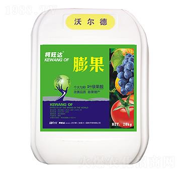 ���-�����_(d��)-�֠����r(n��ng)�I(y��)