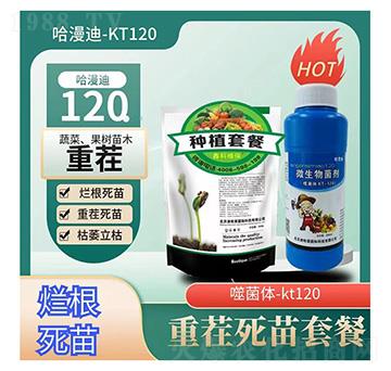 �ز������ײ�-������-�ο�ֲ��