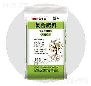 ������ͺϷ���12-5-25���-�S���X