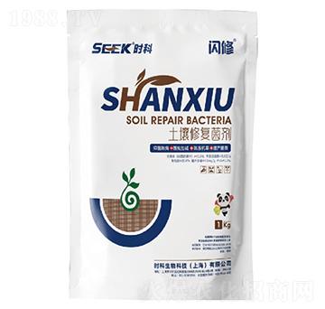 �W��(�����ޏ;���)-�r������