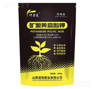 �VԴ�S�����-�~����-�Z��ʘI(y��)