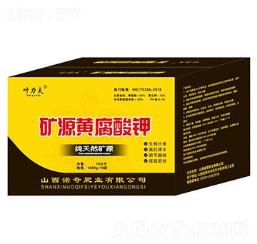 �VԴ�S�����10����-�~����-�Z��ʘI(y��)