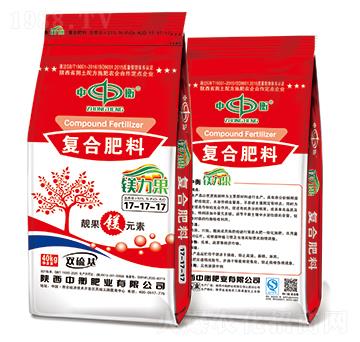 �V�����ͺϷ���17-17-17���p�����-�к�