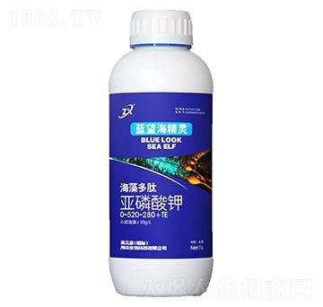 ������ā������-�{(l��n)�������`-��֮�{(l��n)