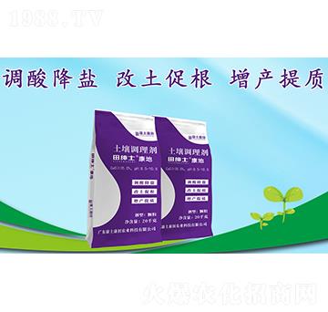 �＝ʿ�����������{�턩-��������