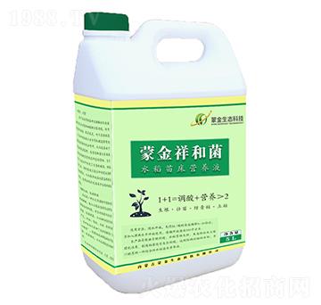 蒙金祥和菌水稻苗床營(yíng)養(yǎng)液-蒙金生態(tài)科技