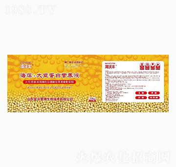 ����+�󶹵��נI�B(y��ng)Һ-�����S-�����_����