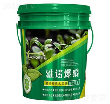 ���Z����-��˹�Z