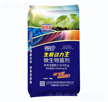 ΢�������-����������-�����S-�����_����