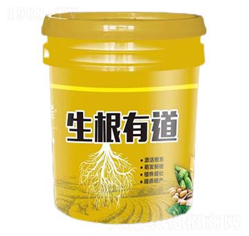 �����е�-�����S-�����_����