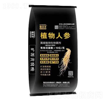 �S����_ʩ��-ֲ���˅�-�����S-�����_����