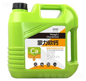 �����W�}-�͝��r�I(y��)