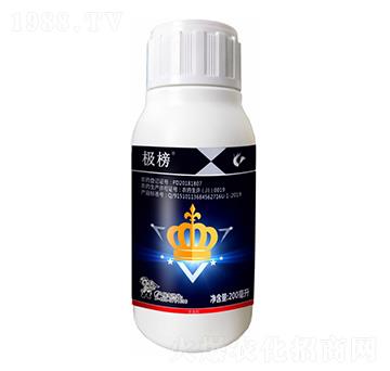 10%�x(ch��ng)����-�O��-����¡����