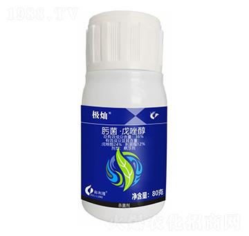 36%뿾�������-�O�N������(j��)�棩-����¡����