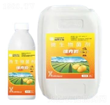 ΢�������-���΢-Ľ������