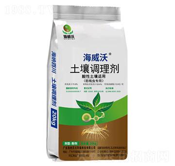 �����{�턩-������-���{�ٴ�