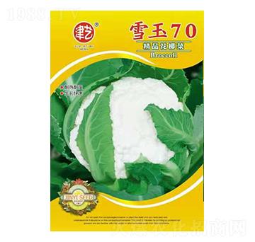 ���˷N��-ѩ��70-���S�r(n��ng)�I(y��)