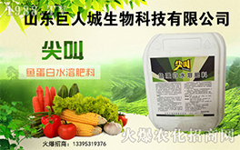 �����˳����ף������µ�һ�������w�����������³����f��������