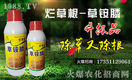 �����K���r(n��ng)��ף������µ�һ���﹤�����������������