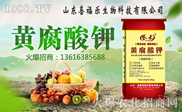 ��ϲ������ף������µ�һ���﹤�����������������