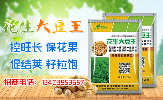 ��ϲ�������ף��(j��ng)�N������A�M����������������ģ�