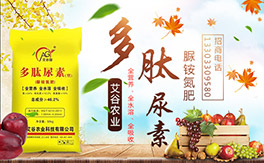 �������r(n��ng)�I(y��)����ף����´��옷�����w�������H���Ҹ����f��������