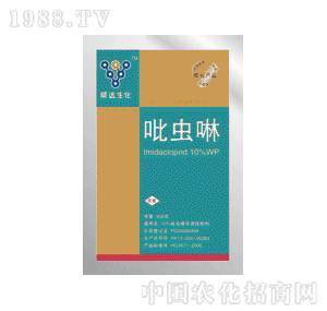 ���h����10%���x��WP