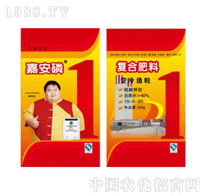 ������-����������͏�(f��)�Ϸ���