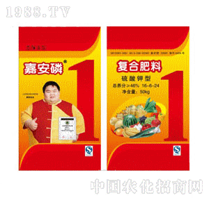 ������-������͏�(f��)�Ϸ���