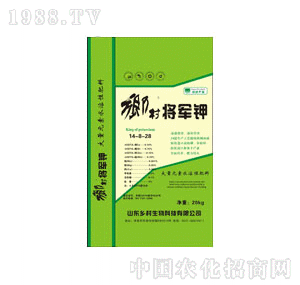 �l(xi��ng)������-�l(xi��ng)�匢܊⛾Gɫ���b