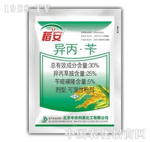 ���r����-����