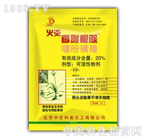 ���r����-�����㸽����