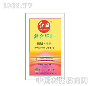 �t�հ���-�t��30-5-5��(f��)�Ϸ�