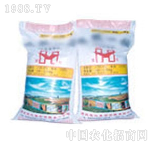 �˻�-����