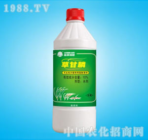 �ٰ�-10%�ݸ��