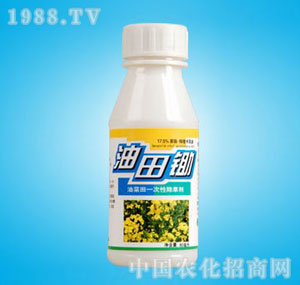 �ٰ�-17.5%�����z