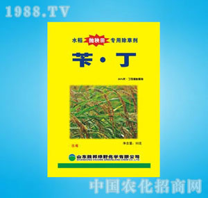 �ٰ�-35%���S