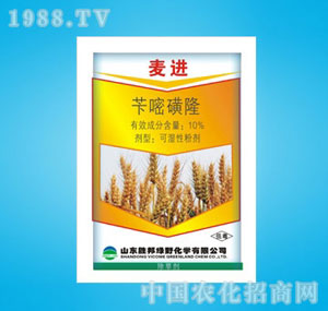 �ٰ�-���M(j��n)