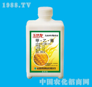 �ٰ�-�����