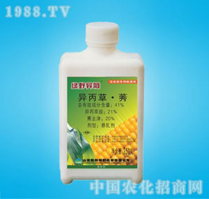 �ٰ�-�GҰ����