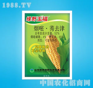 �ٰ�-�GҰ��