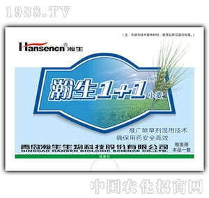 ���1+1С������