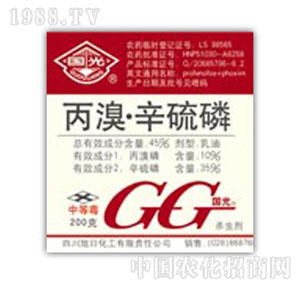 ����-����������