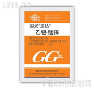 ����-���X�i�\