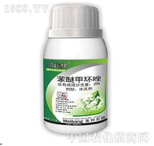 ����ˎ�I(y��)-����n